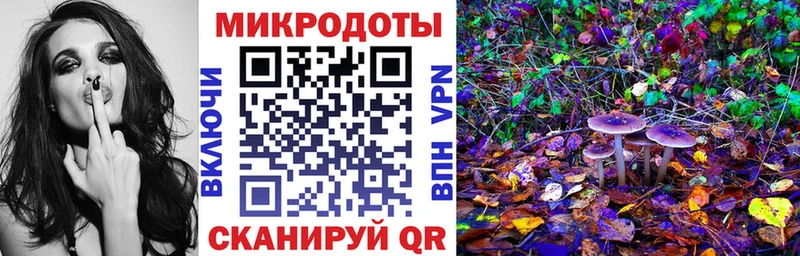 закладки  Реутов  Псилоцибиновые грибы Psilocybine cubensis 